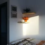 Apartament - Przytulne, Nowe Mieszkanie Wałbrzych