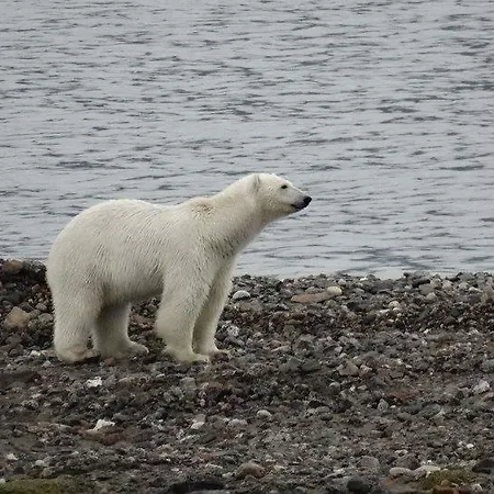 - Przytulne, Nowe Mieszkanie Валбжих