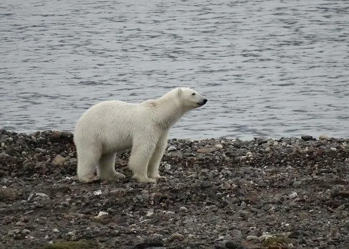 - Przytulne, Nowe Mieszkanie Валбжих
